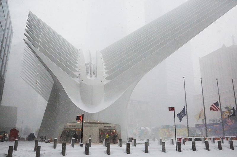 Snowstorm : 2021 : New York : Personal Photo Projects :  Richard Moore Photography : Photographer : 